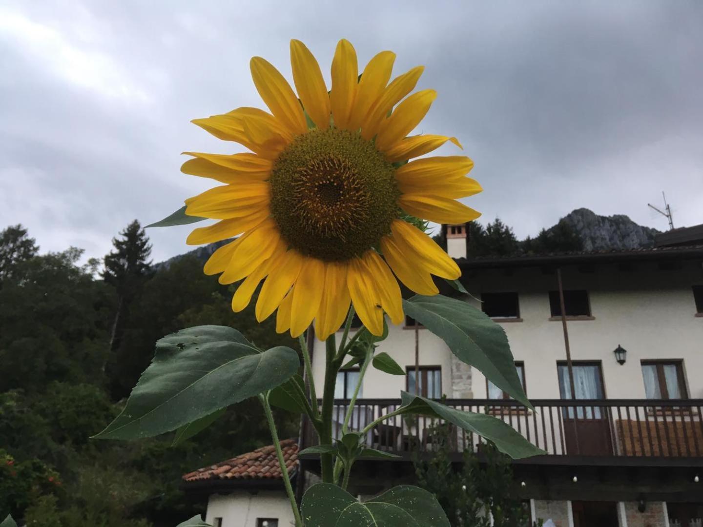 Agriturismo Dagai Sospirolo Zewnętrze zdjęcie